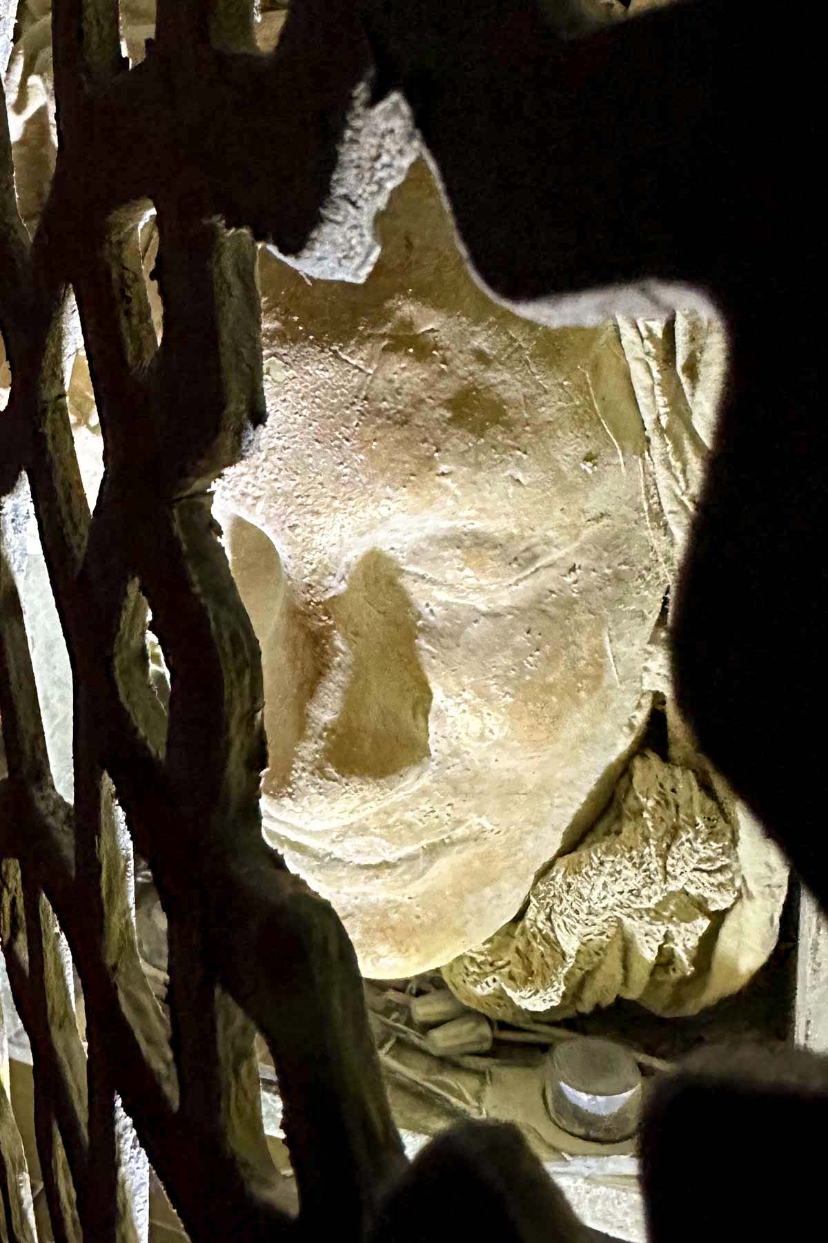 Close-up of a pale sculpted face peering through dark metal lattice